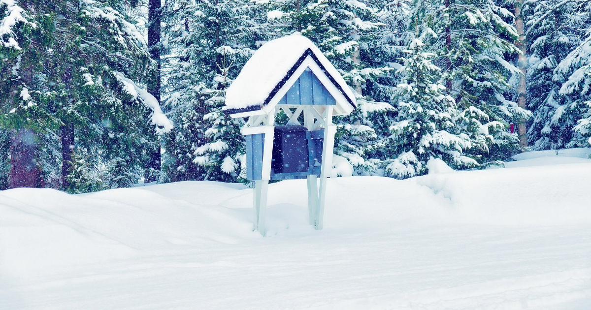 A snowy postal box. (Image: Shutterstock)